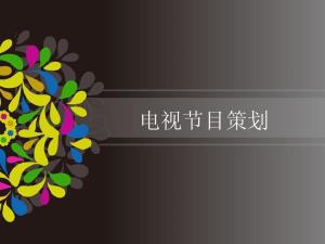 电视节目策划与影视节目策划 从创意到落地的艺术