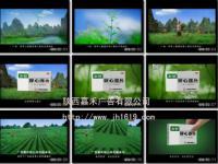 光影织梦，声动寰宇——陕西嘉禾影音文化传播的影视节目策划之道